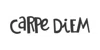 carpediemplanners.com