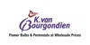 dutchbulbs.com