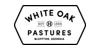 whiteoakpastures.com